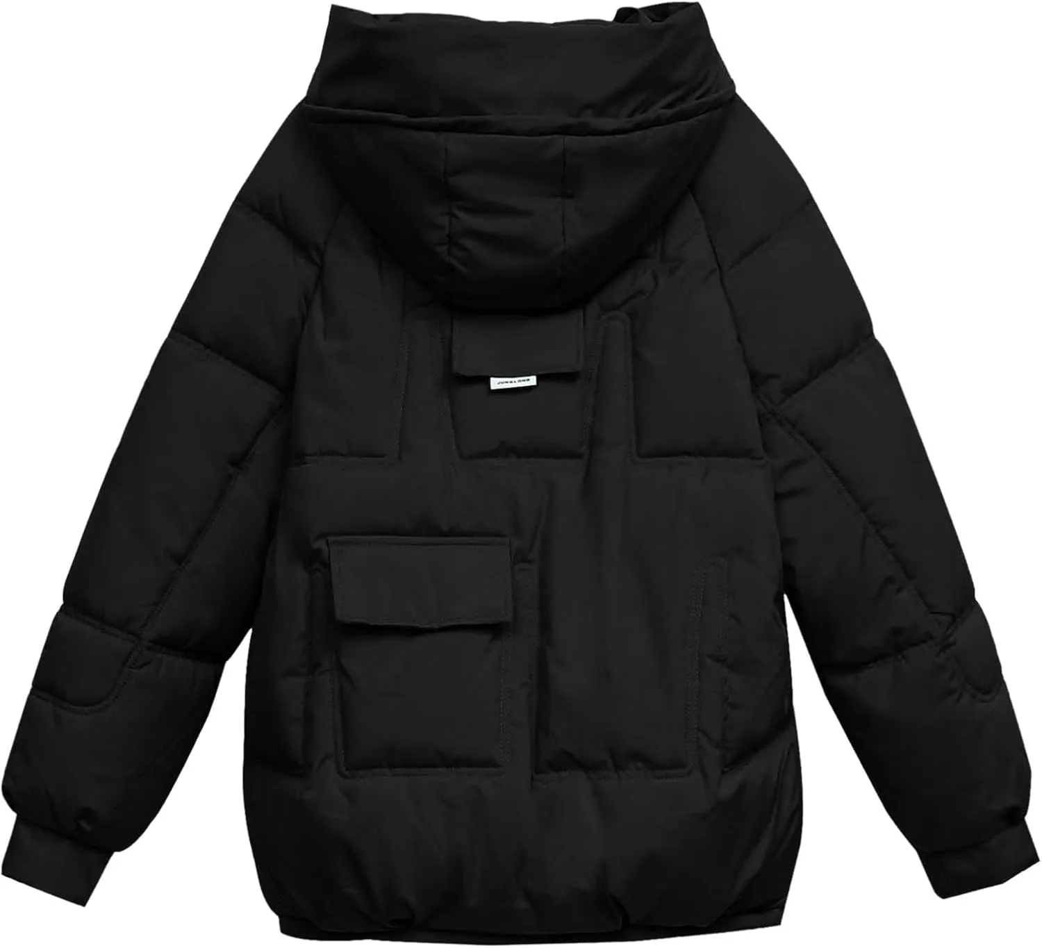 Winter Coats for Women Hooded Down Jacket Long Sleeve Full Zipper Preppy Quilted Parkas Short Puffer Jacket Outwear