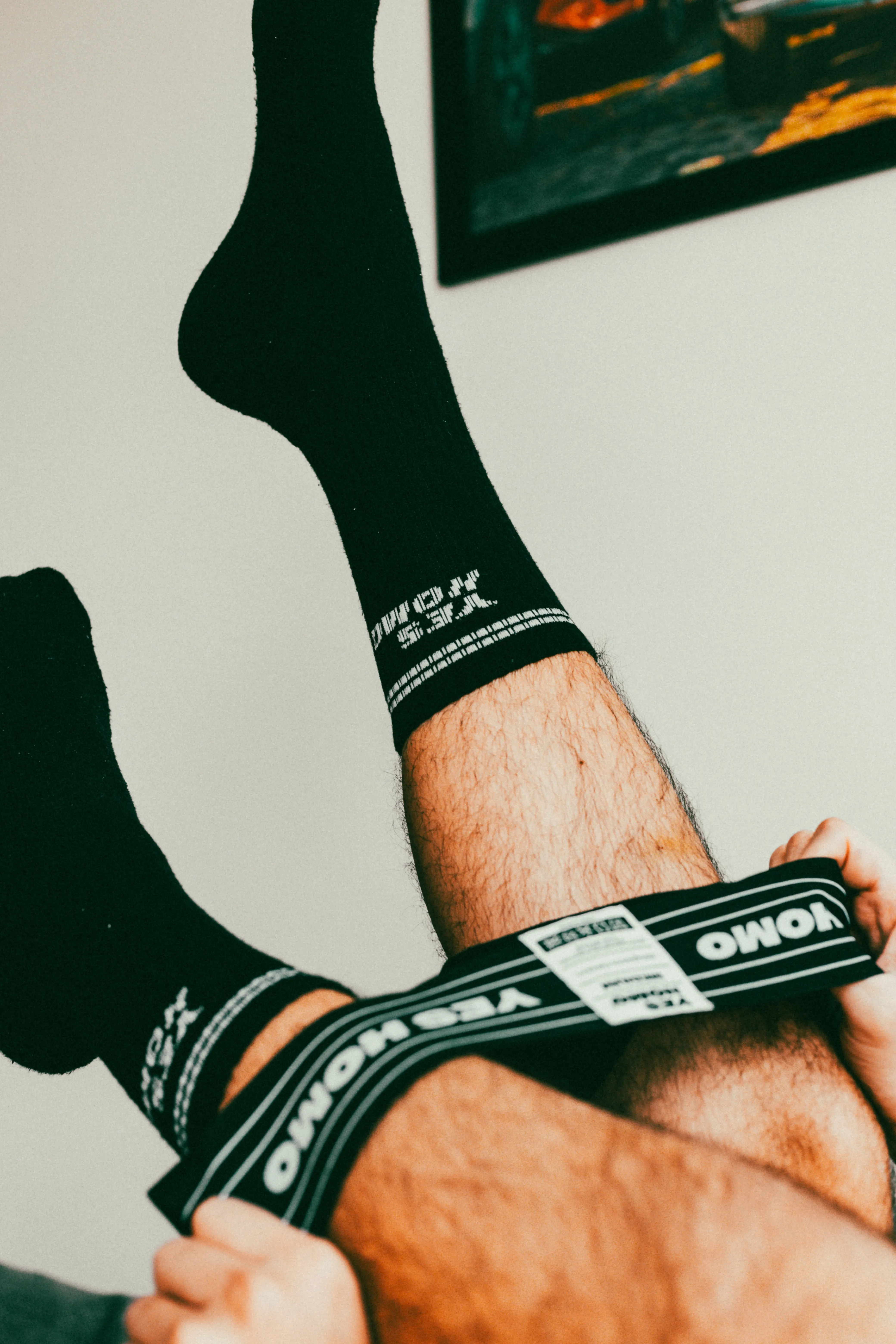 Yes Homo Socks